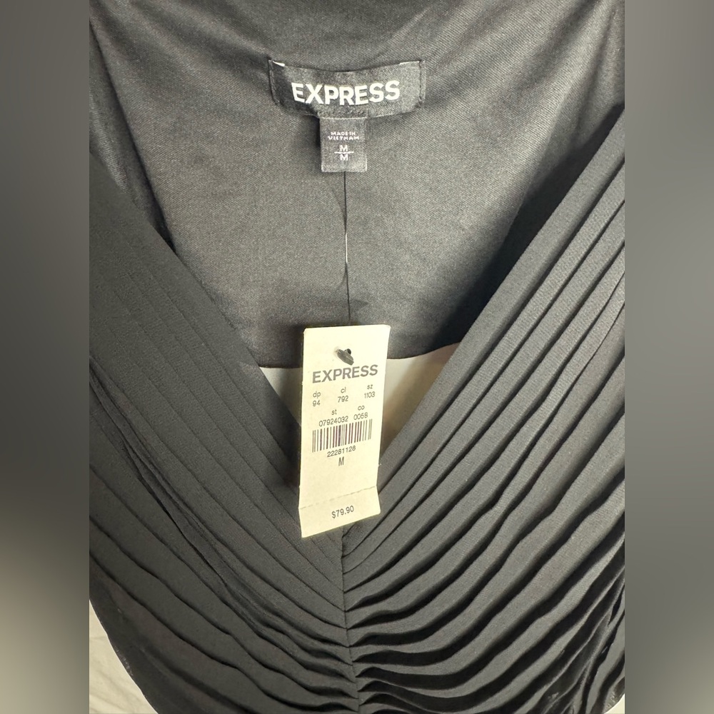 Express Dress - Picture 4 of 5